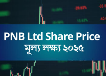 PNB Ltd Share Price