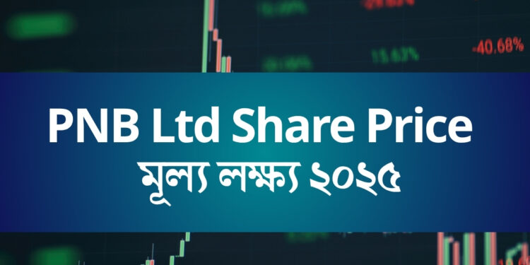 PNB Ltd Share Price